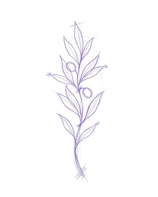 Version 1 : croquis au crayon violet